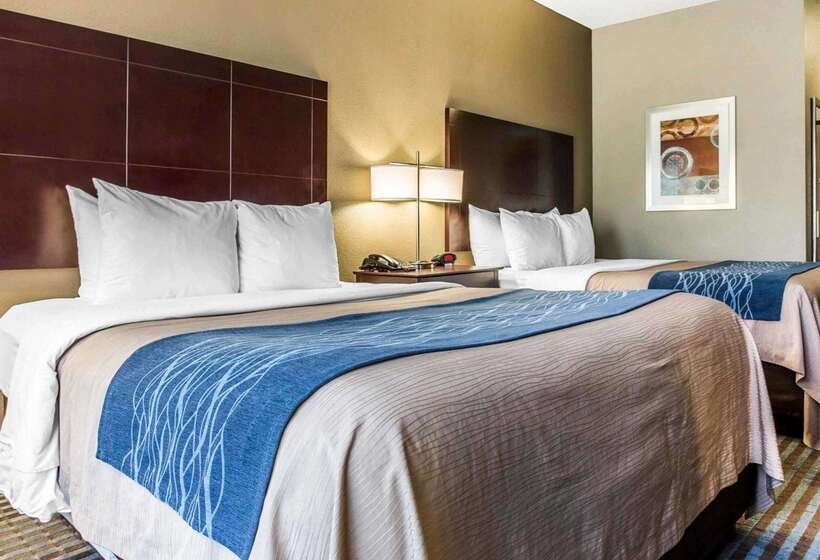 酒店 Comfort Inn & Suites Ballpark Area