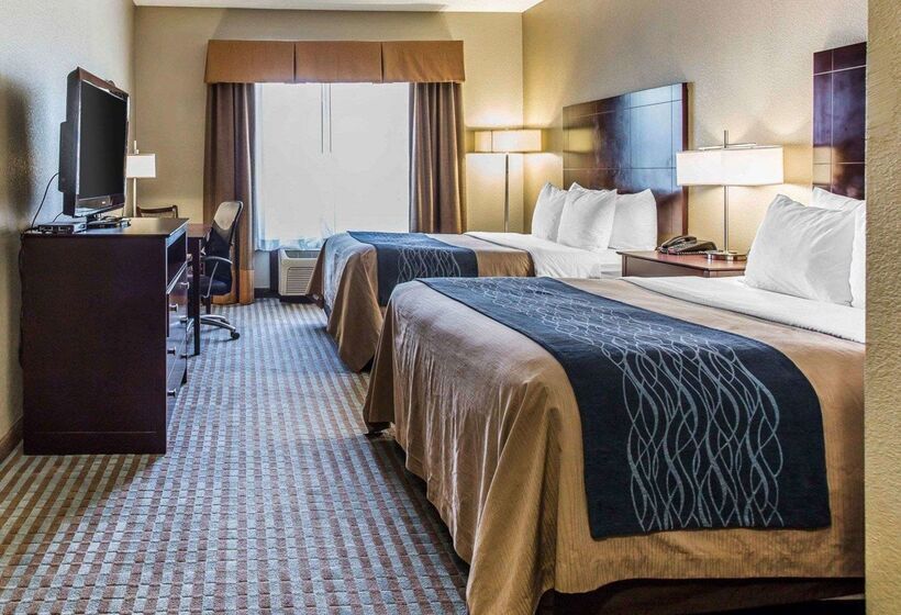 酒店 Comfort Inn & Suites Ballpark Area