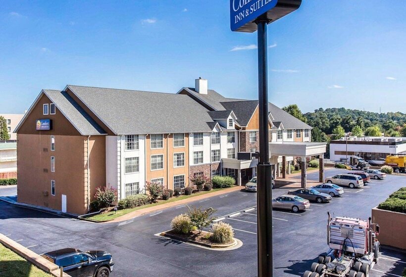 酒店 Comfort Inn & Suites Ballpark Area