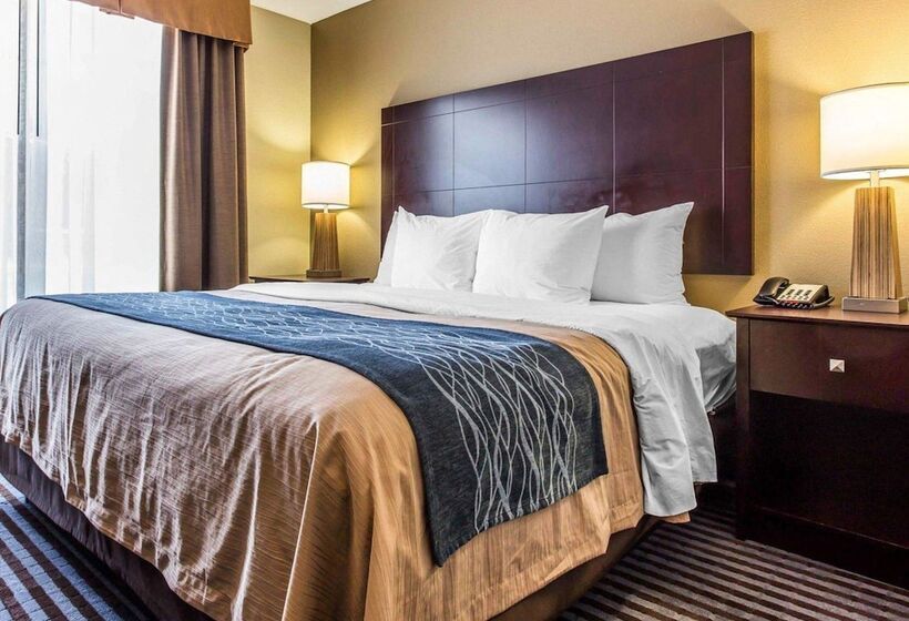 酒店 Comfort Inn & Suites Ballpark Area