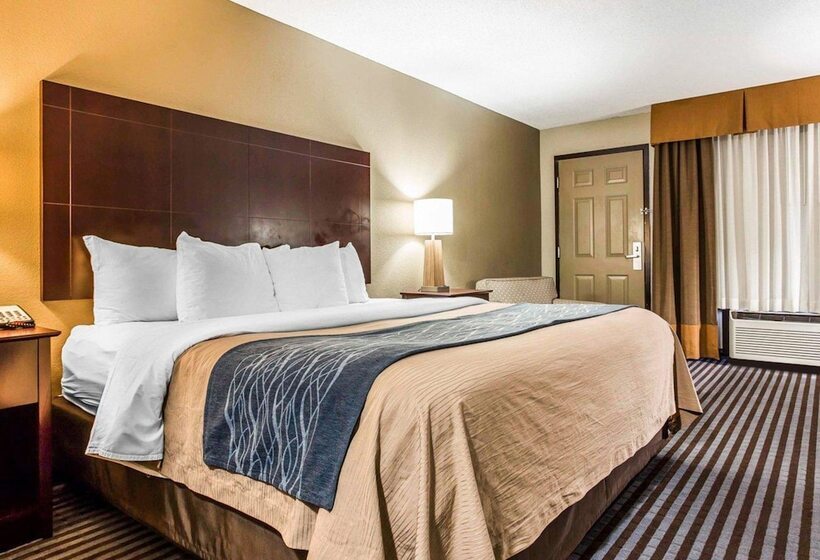 酒店 Comfort Inn & Suites Ballpark Area