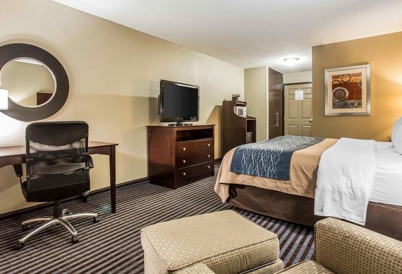 酒店 Comfort Inn & Suites Ballpark Area