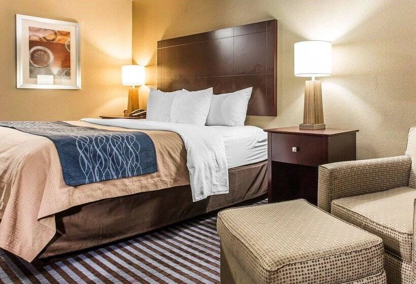 酒店 Comfort Inn & Suites Ballpark Area