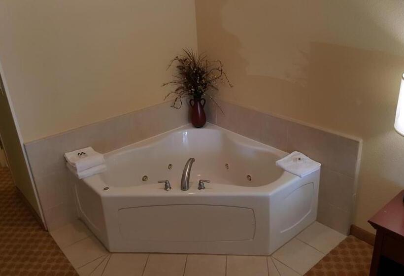 فندق Comfort Inn & Suites