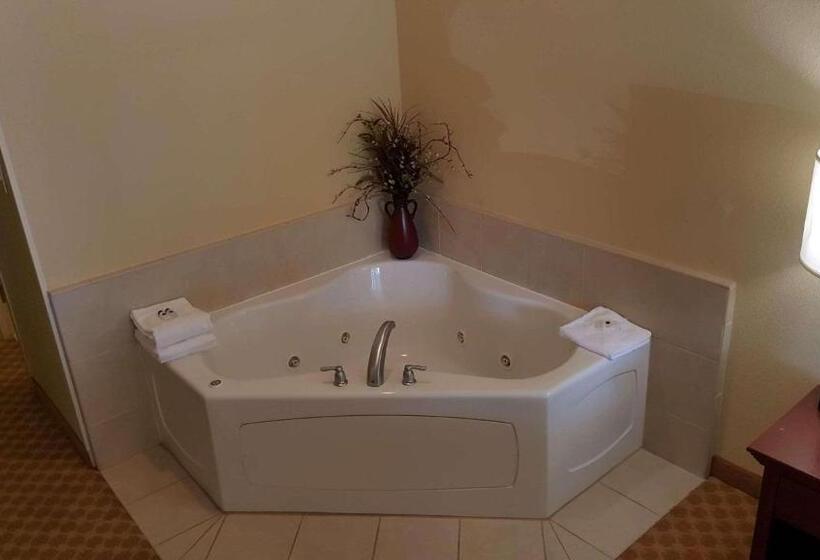 فندق Comfort Inn & Suites