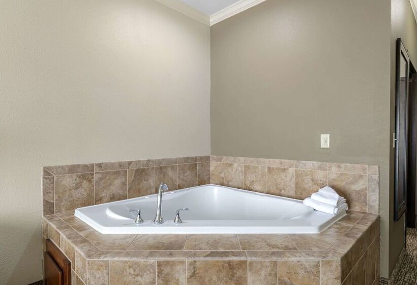 هتل Comfort Inn & Suites Fort Worth  Fossil Creek
