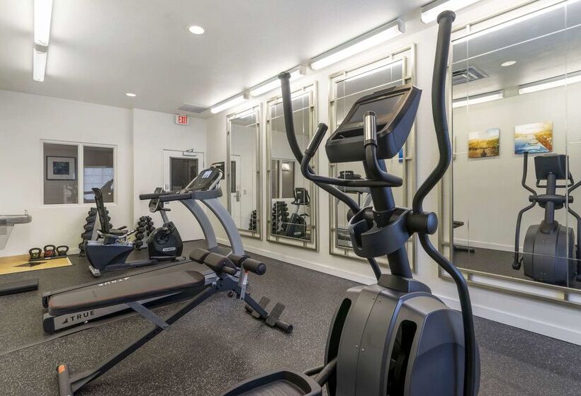 فندق Comfort Inn & Suites Port Charlottepunta Gorda