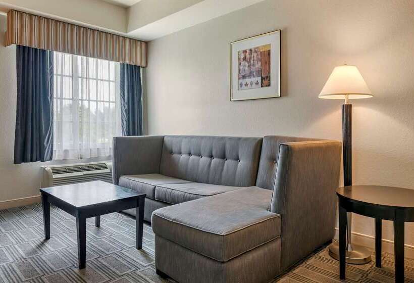 فندق Comfort Inn & Suites Port Charlottepunta Gorda