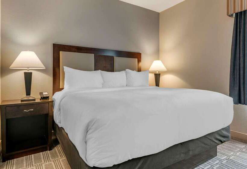 فندق Comfort Inn & Suites Port Charlottepunta Gorda