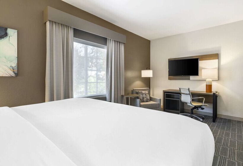 فندق Comfort Inn & Suites Port Charlottepunta Gorda