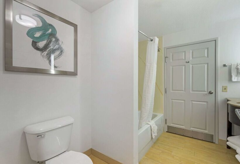 فندق Comfort Inn & Suites Port Charlottepunta Gorda