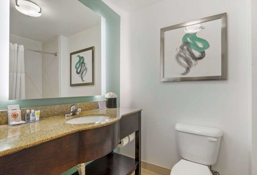 فندق Comfort Inn & Suites Port Charlottepunta Gorda