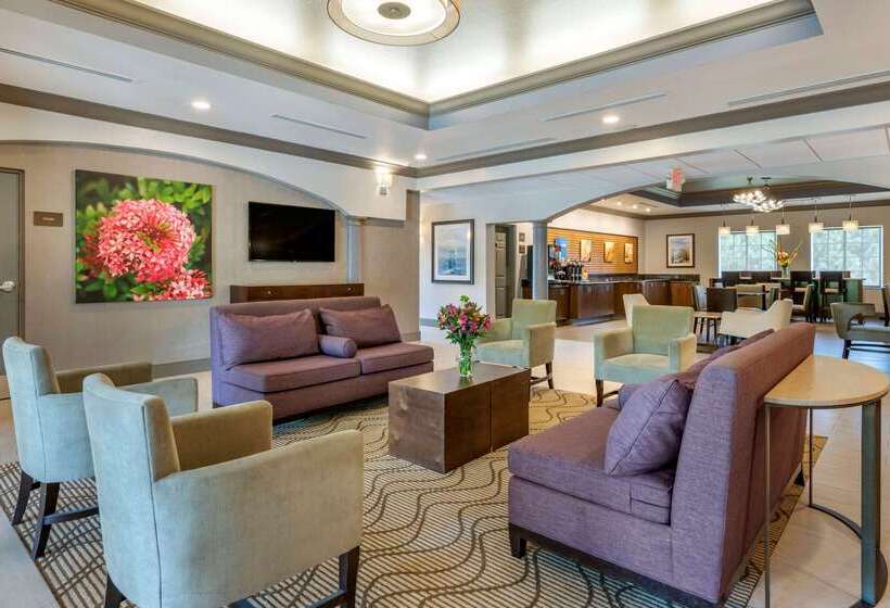 فندق Comfort Inn & Suites Port Charlottepunta Gorda