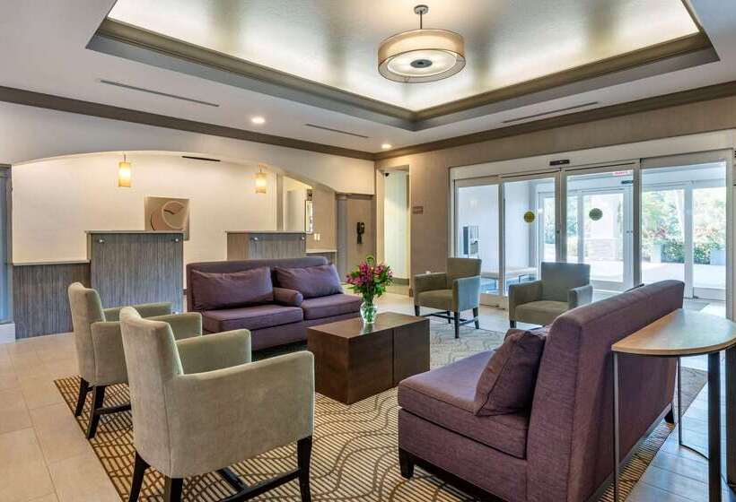 فندق Comfort Inn & Suites Port Charlottepunta Gorda