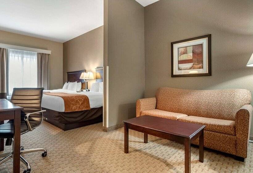 فندق Comfort Suites Biloxi/ocean Springs