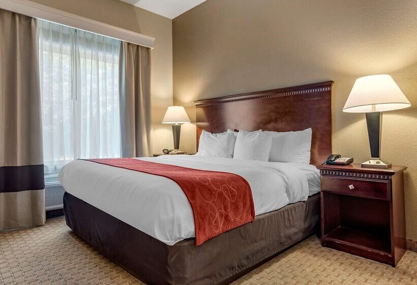 فندق Comfort Suites Biloxi/ocean Springs