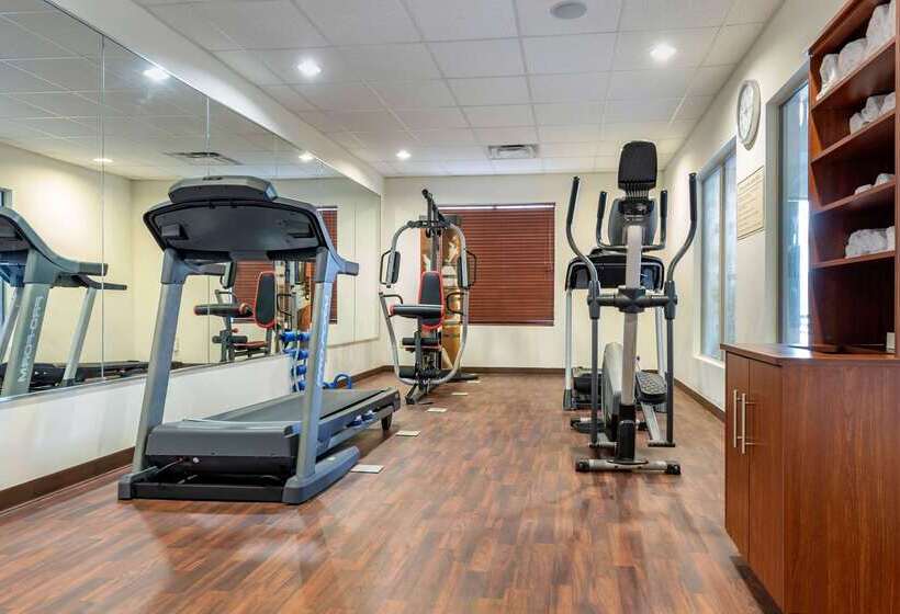 בית מלון כפרי Comfort Suites Cincinnati Airport