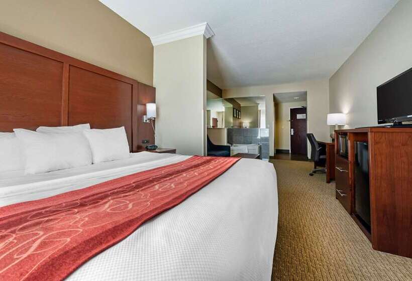 هتل Comfort Suites Cincinnati Airport