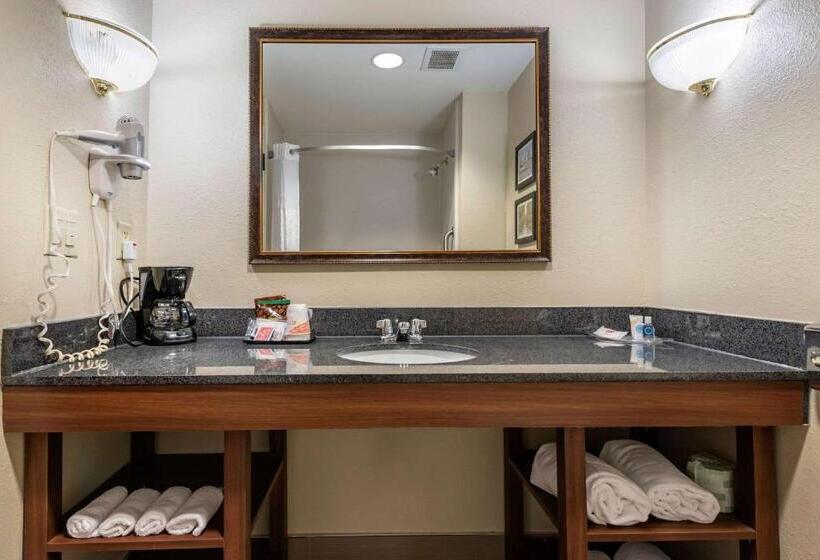 בית מלון כפרי Comfort Suites Cincinnati Airport