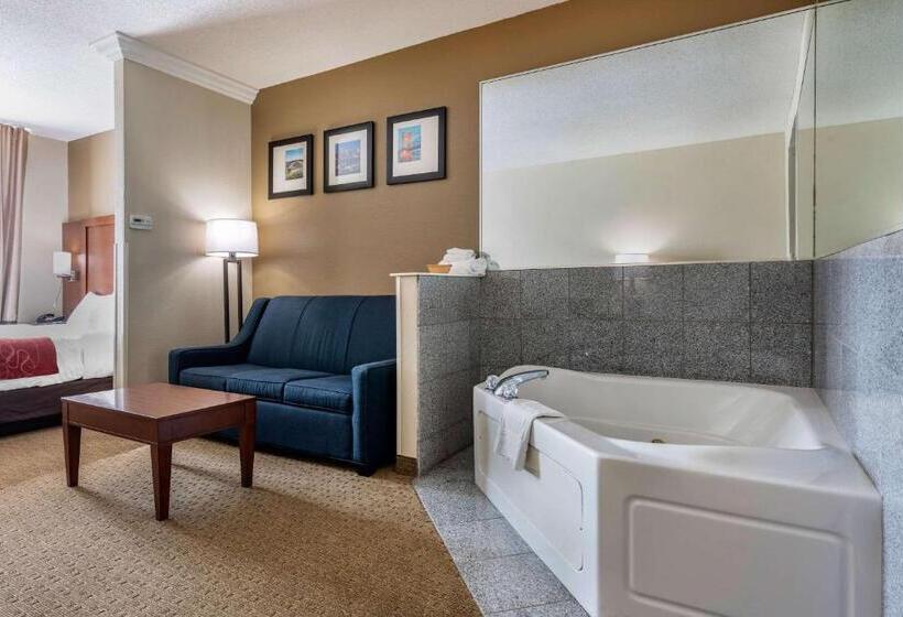 בית מלון כפרי Comfort Suites Cincinnati Airport