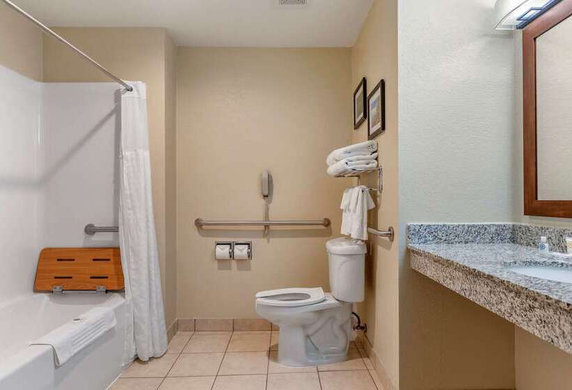 ホテル Comfort Suites Grand Rapids North