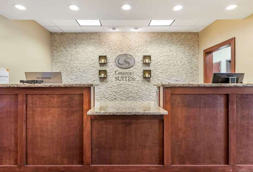 ホテル Comfort Suites Grand Rapids North