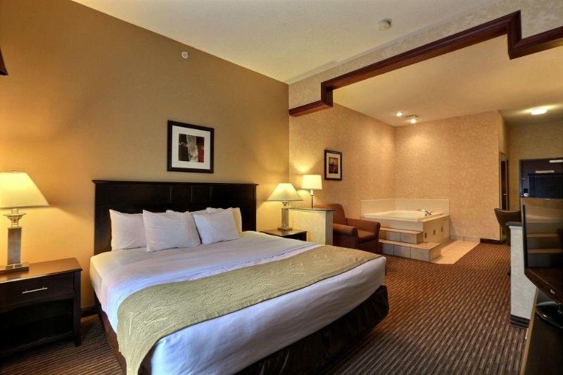 هتل Comfort Suites Grand Rapids North