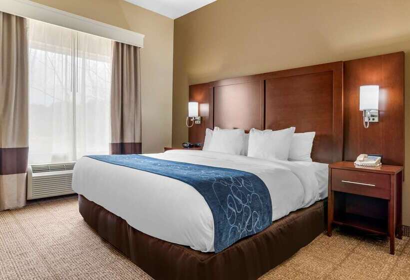 فندق Comfort Suites Niceville Near Eglin Air Force Base