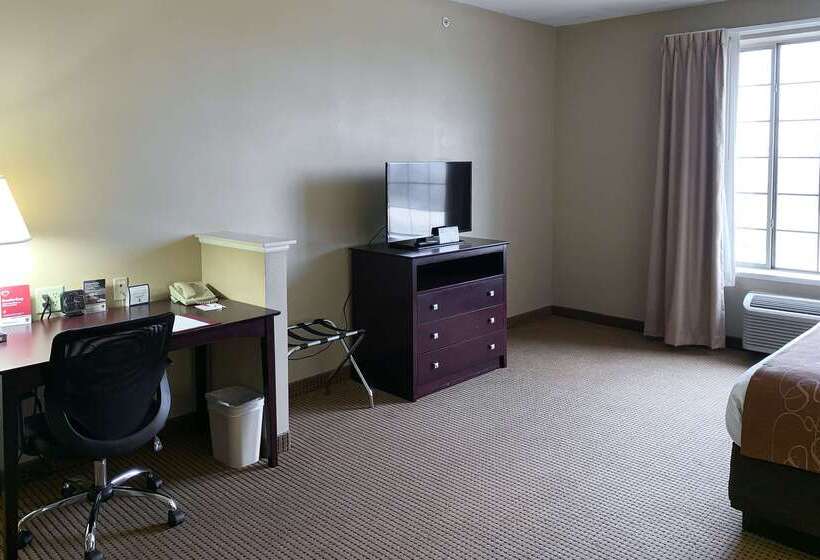 酒店 Comfort Suites Roanoke   Fort Worth North