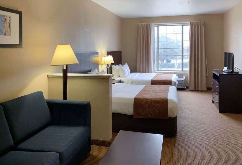 酒店 Comfort Suites Roanoke   Fort Worth North