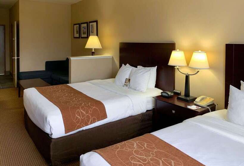 酒店 Comfort Suites Roanoke   Fort Worth North
