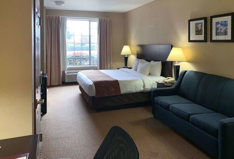 酒店 Comfort Suites Roanoke   Fort Worth North