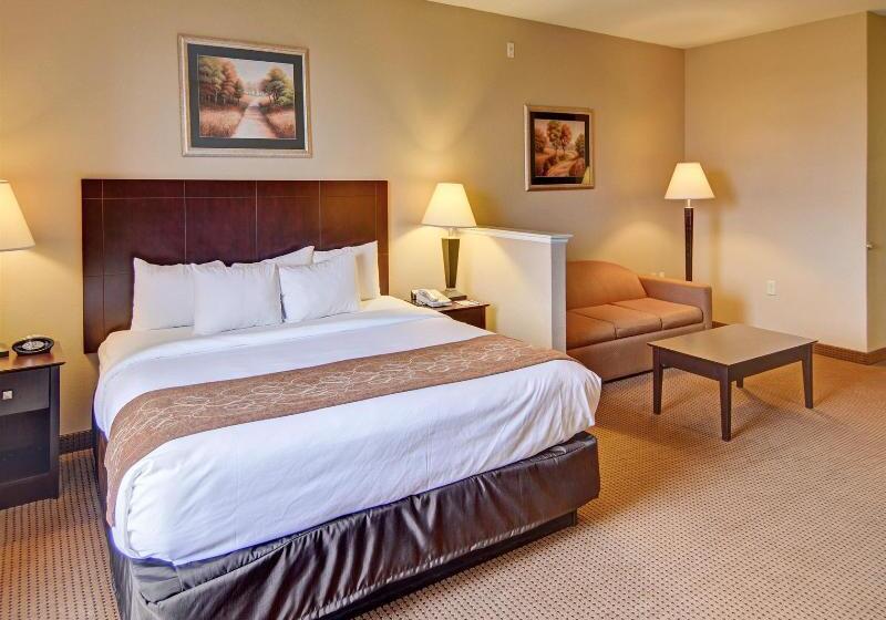 酒店 Comfort Suites Roanoke   Fort Worth North