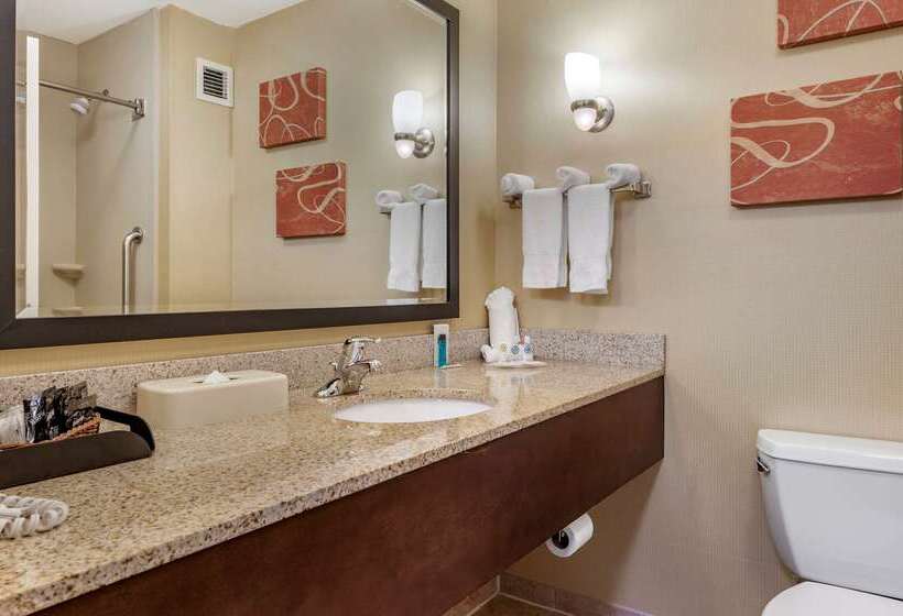 فندق Comfort Suites Urbana Champaign, University Area
