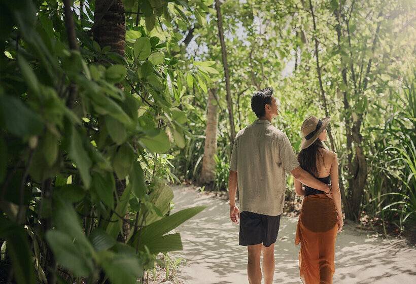 Отель Conrad Maldives Rangali Island