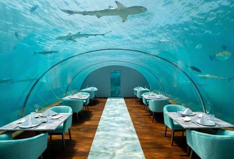 Отель Conrad Maldives Rangali Island