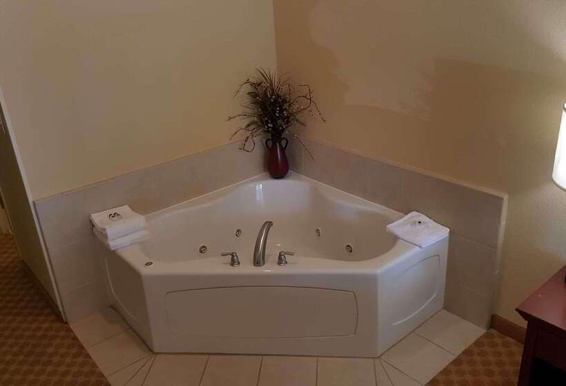 فندق Comfort Inn & Suites