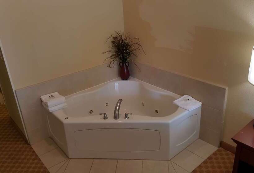 فندق Comfort Inn & Suites