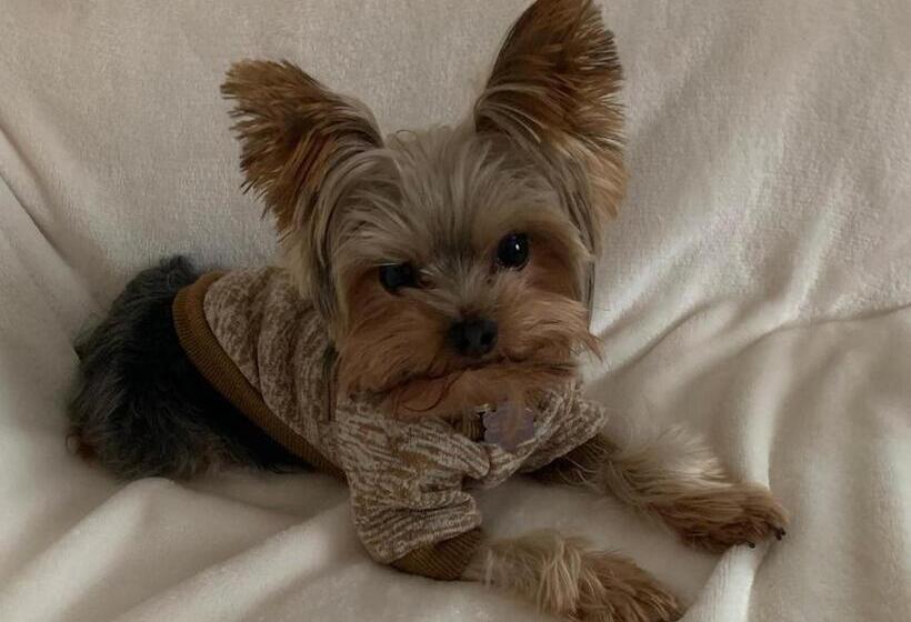 فندق Country Inn & Suites By Radisson, Ithaca, Ny