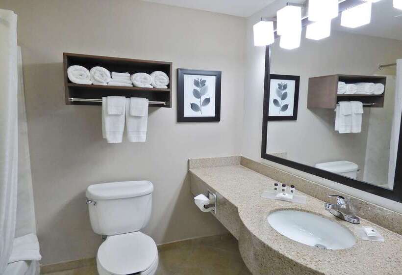 فندق Country Inn & Suites By Radisson, Tampa Brandon, Fl