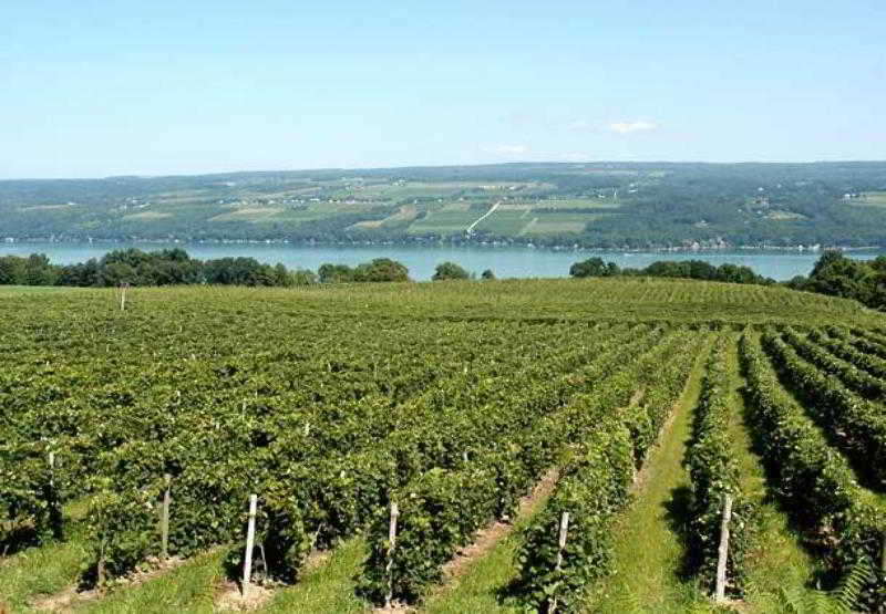 בית מלון כפרי Courtyard By Marriott Roseville Galleria Mall/creekside Ridge Drive