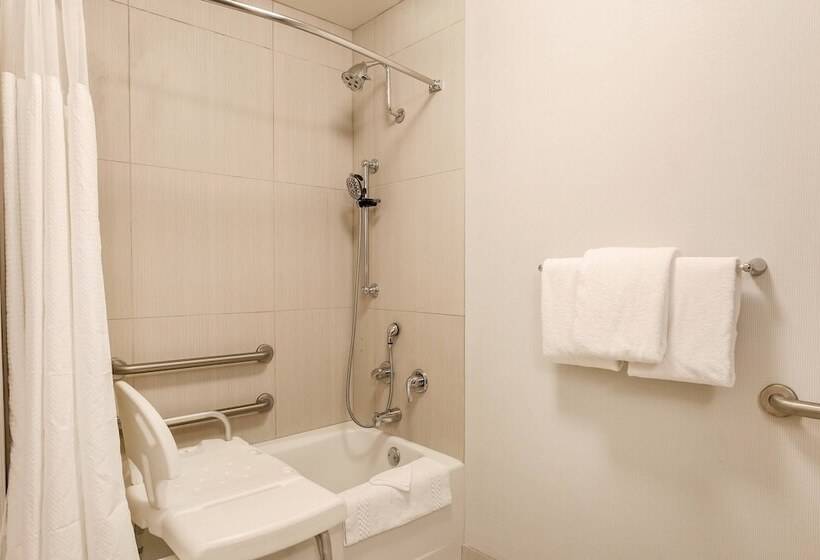 בית מלון כפרי Courtyard By Marriott Pittsburgh Downtown