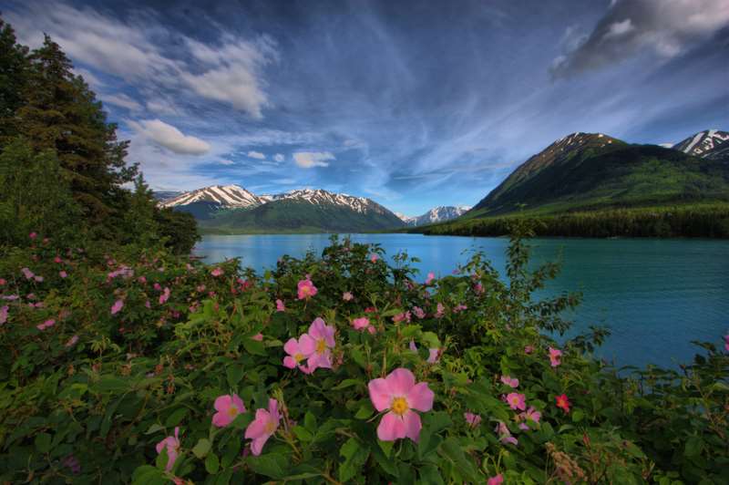 فندق Embassy Suites Anchorage