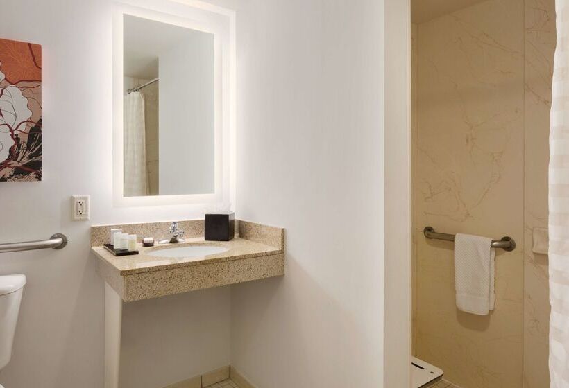 Отель Embassy Suites By Hilton Denver International Airport