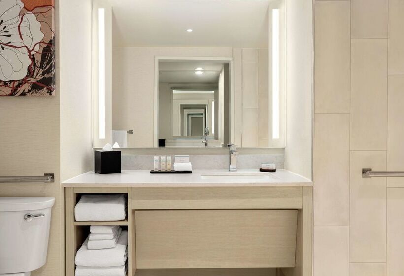 Отель Embassy Suites By Hilton Denver International Airport