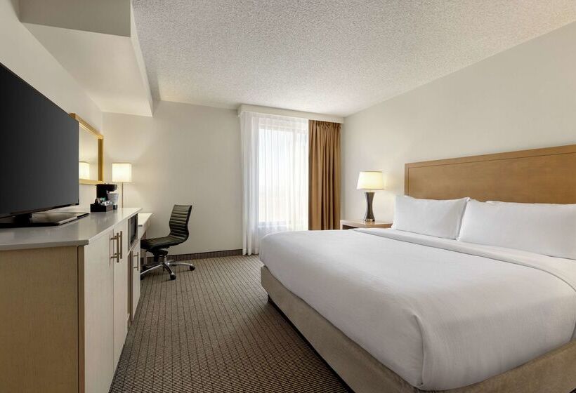 Отель Embassy Suites By Hilton Denver International Airport