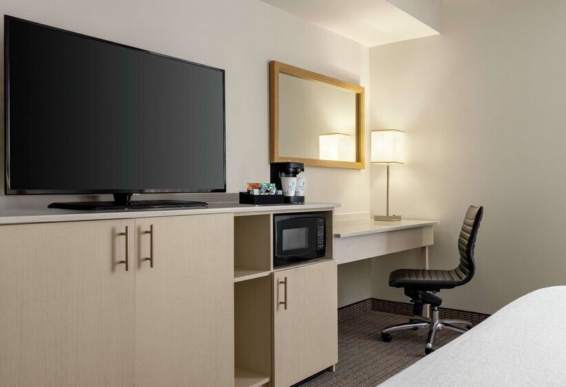 Отель Embassy Suites By Hilton Denver International Airport