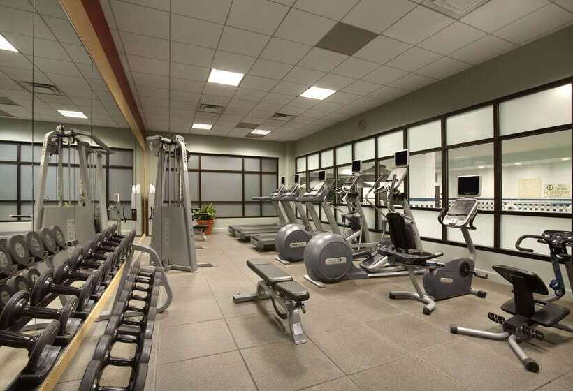 Отель Embassy Suites By Hilton Denver International Airport