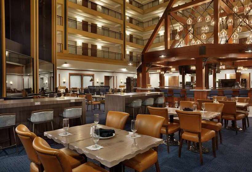 Отель Embassy Suites By Hilton Denver International Airport