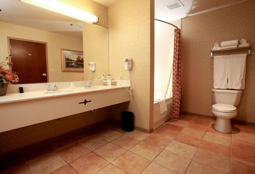 酒店 Embassy Suites Lincoln